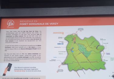 Tour Wandern Verzy - les faux de Verzy - Photo