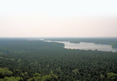 Tour Zu Fuß Unbekannt - Wanderlehrpfad Teufelssee - Photo