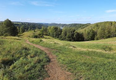 Trail Walking Andenne - Seilles - Balade du chant d'oiseau n° 6 (AD28) - Photo
