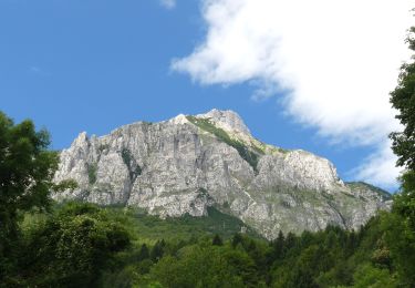 Randonnée A pied Caldonazzo - Sentiero dei Ronchi - Photo