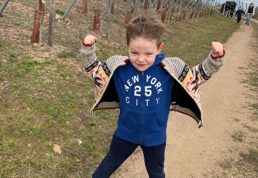 Randonnée Marche Wihr-au-Val - Wihr au val / vignes - Photo