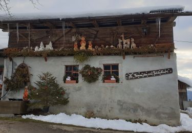 Tour Schneeschuhwandern Combloux - Raquettes Intages-Prapacot 74 - Photo