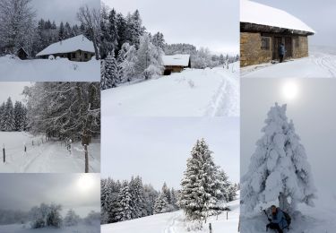 Excursión Raquetas de nieve Arith - Lachat-Cochette-2021-01-06 - Photo