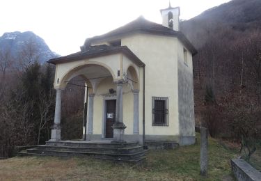 Randonnée A pied Pieve Vergonte - A43 - Loro - Alpe Colla - Photo