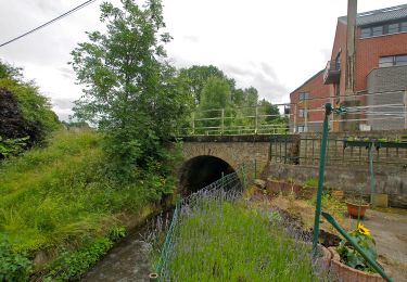 Randonnée A pied Blegny - Des 7 villages a pied - Photo