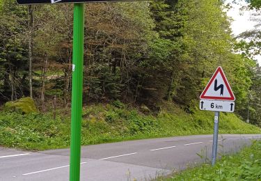 Tocht Wegfiets La Bresse - vieil Armand  - Photo