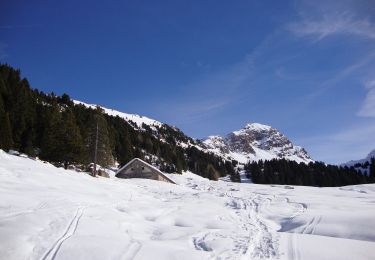 Trail On foot Scurelle - Sentiero di Val Montalon - Photo