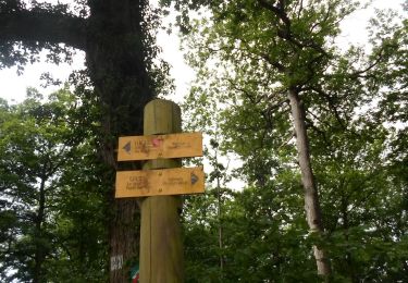Trail Walking Louviers - 20220607-louviers cool - Photo