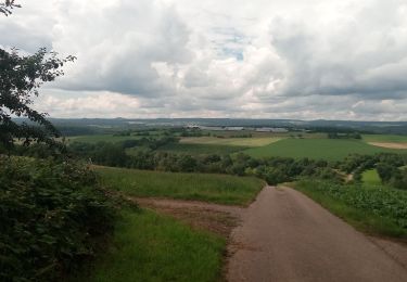 Randonnée A pied Elztal - Rundwanderweg Dallau 2: Lohäcker-Weg - Photo