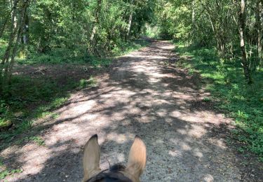 Trail Horseback riding Francheville - Chez pat à l’étang toul Tivio  - Photo