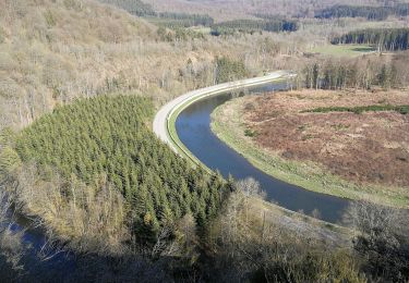 Trail Walking Herbeumont - RSIH - Herbeumont - La Roche aux corbeaux - Photo