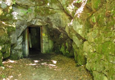 Tour Zu Fuß Freyung - Rundwanderweg Nr. 3 