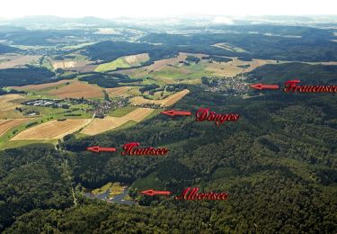 Percorso A piedi Bad Salzungen - Frauenseer Weg - Photo