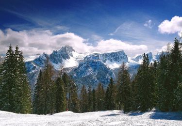 Tocht Te voet Cortina d'Ampezzo - 403 - Photo