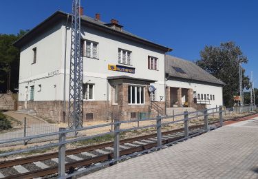 Percorso A piedi Balatonalmádi - Z (Balatonfűzfő körút) - Photo