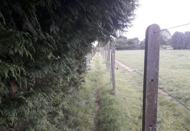 Tocht Lopen Bergen - Marais + Héribus - Photo