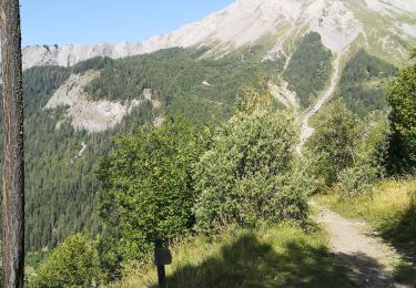 Excursión Marcha nórdica Arbaz - la brune - Photo