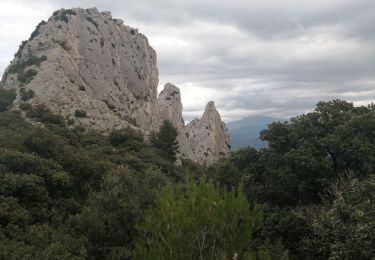 Randonnée Marche Lafare - lafare les dentelles  - Photo