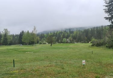 Tour Wandern Corrençon-en-Vercors - corrençon _ la cabane  - Photo