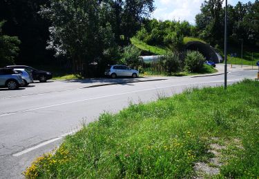 Tocht Noords wandelen Arbaz - 24.06.20 Bisse de Grimisuat  - Photo