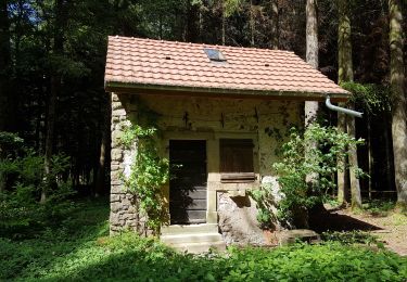 Randonnée Marche Châlonvillars - Châlonvillars - le menhir - Genêchier - Mandrevillars - Buc - fort d'Essert  - Photo