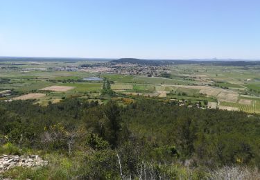 Trail Walking Vergèze - Vergèze Oppidum de Nages le 17 mai 2020  - Photo