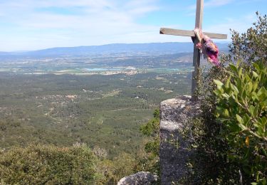 Randonnée Marche Peyrolles-en-Provence - la trempasse - Photo