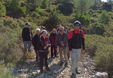 Tour Wandern Roquefort-la-Bédoule - Le Grand Caunet/ Chap St André/vieux Roquefort  - Photo