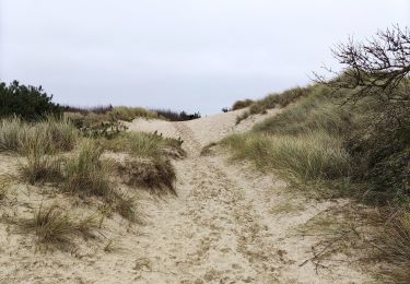 Tocht Stappen Équihen-Plage - Le sentier des dunes   - Photo