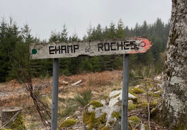 Tour Wandern Arrentès-de-Corcieux - Champs des roches  - Photo