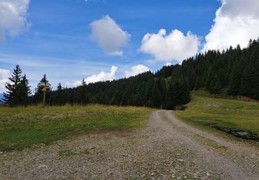Trail Walking Theys - Col du Merdaret, Roche Noire au départ de Pipay  - Photo