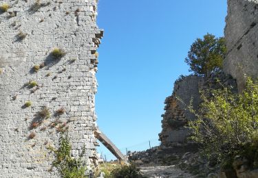 Percorso Marcia Seynes - Mont bouquet - Photo