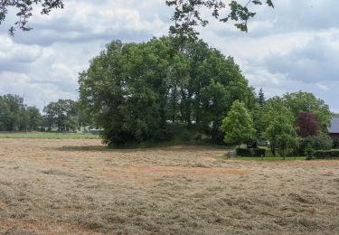 Trail On foot Schermbeck - Gahlen Rundweg A3 - Photo