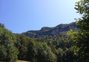 Randonnée Marche Mont-Saint-Martin - la meulière des dauphins 2019 - Photo