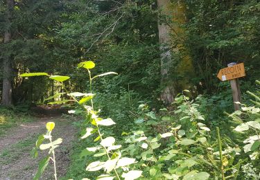 Tour Wandern Saint-Martin-d'Uriage - Les Seiglières. Circuit des Gardes n°9 raccourci à 8 km - Photo