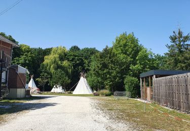 Percorso Marcia Phalempin - 2022/07/17 PHALEMPIN Forêt - Photo