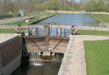 Trail On foot Dolistowo Stare - Morgowniki - Dolistowo - Lipsk - Photo