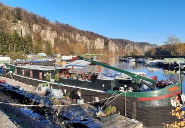 Tocht Stappen Andenne - ANDENNE-NAMUR RIVE GAUCHE  - Photo