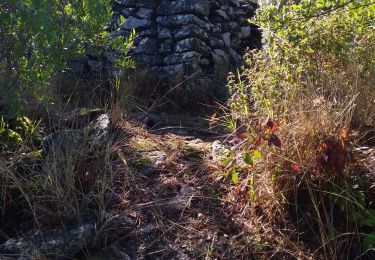 Randonnée Marche La Garde-Freinet - vallons des maximins - Photo