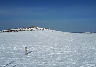 Trail Cross-country skiing Saint-Pierre-la-Bourlhonne - Col du beal  pierre sur haute - Photo