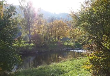 Tocht Te voet Dättlikon - Dättlikon - Schartenflue - Photo