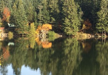 Randonnée Marche La Bresse - braban - Photo