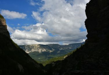 Trail Walking Beauvezer - Pk Chapelle St Pierre - Gorges St Pierre - Cabanes Congerman et Orgéas - Ondres - D908 - Photo