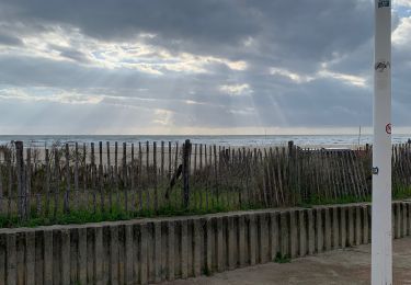 Randonnée Marche La Grande-Motte - Grande motte - Photo