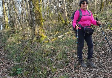 Trail Walking Ardiège - Depart Ardiege cap de la picote ,crete de Huntous,les arrousses plombières 2 le 06 Mars 2024 avec  eve - Photo
