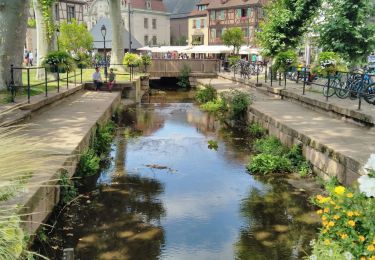 Tour Wandern Kolmar -  TREK ALSACIEN (balade découverte de Colmar)  - Photo