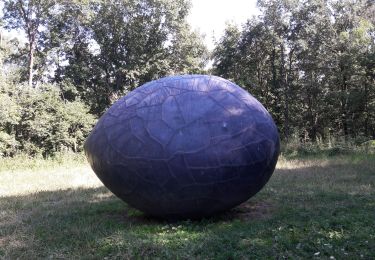 Percorso Marcia Liegi -  du Sart Tilman au château de Colonster - Photo