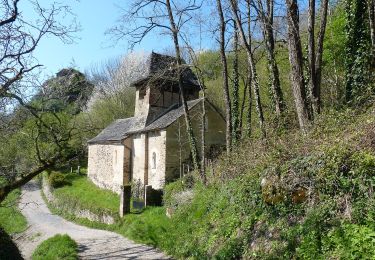 Excursión A pie Mouret - La Chapelle de Servières - Photo