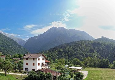 Trail On foot Belluno - IT-506 - Photo