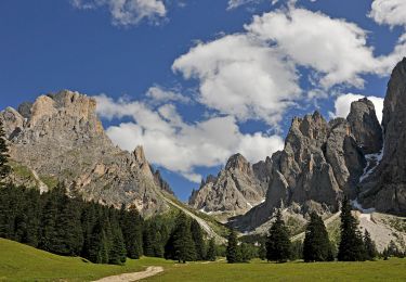 Tocht Te voet Sëlva - Wolkenstein - Selva di Val Gardena - IT-525 - Photo